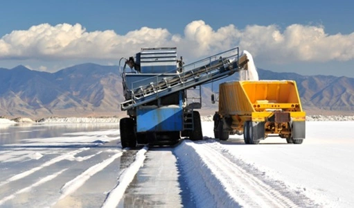 Salt Producing