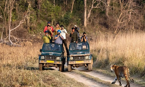 Jim Corbett National Park, Uttarakhand