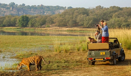 Ranthambore National Park, Rajasthan
