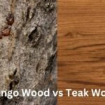 Mango Wood vs Teak Wood