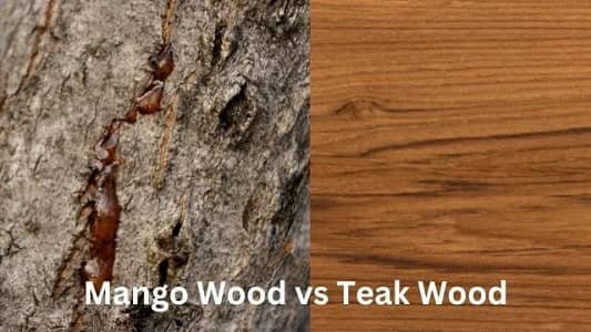 Mango Wood vs Teak Wood
