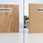Sylvan Ply vs Century Ply